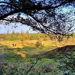 6 Person In Fjerritslev-by Traum